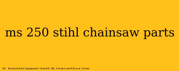ms 250 stihl chainsaw parts