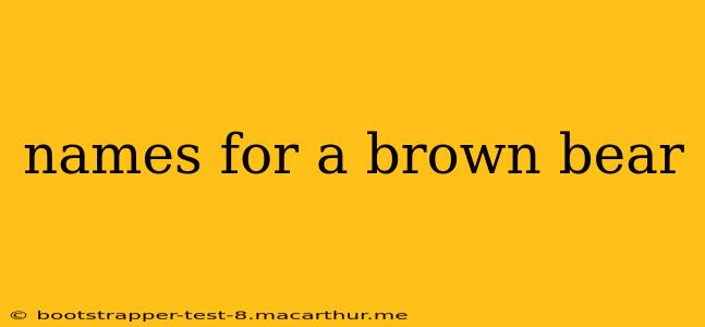 names for a brown bear