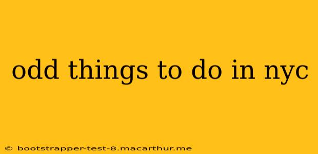 odd things to do in nyc