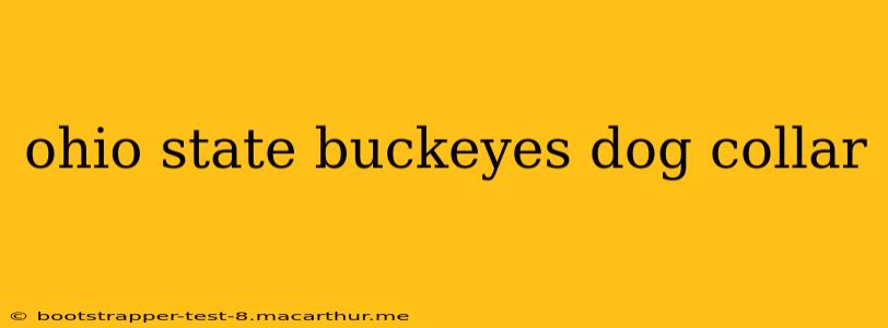 ohio state buckeyes dog collar