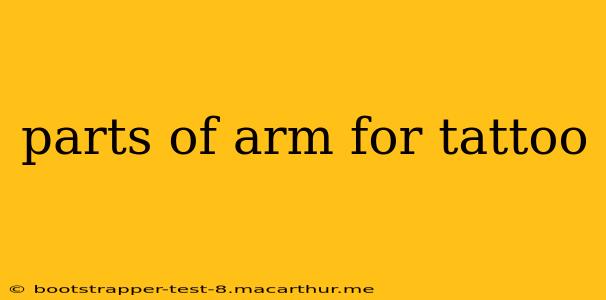 parts of arm for tattoo