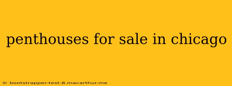 penthouses for sale in chicago