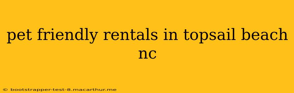 pet friendly rentals in topsail beach nc