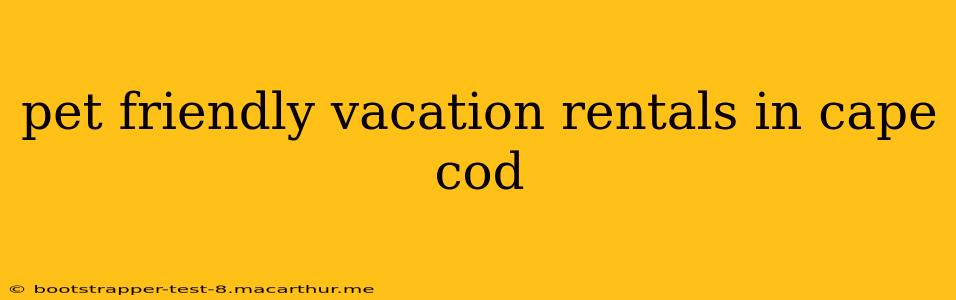 pet friendly vacation rentals in cape cod