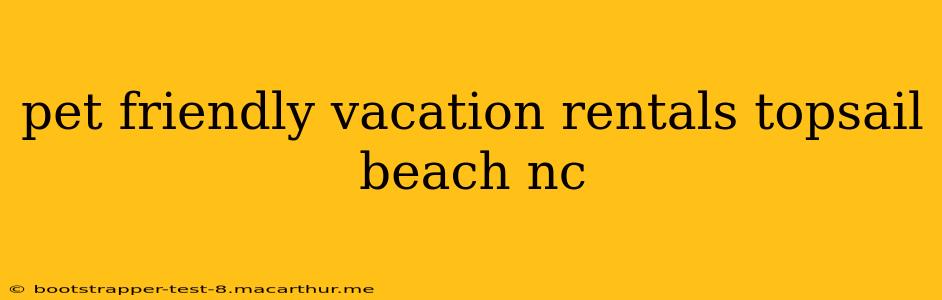 pet friendly vacation rentals topsail beach nc