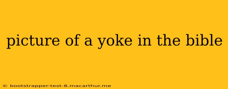 picture of a yoke in the bible