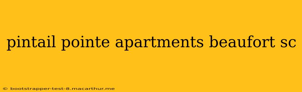 pintail pointe apartments beaufort sc