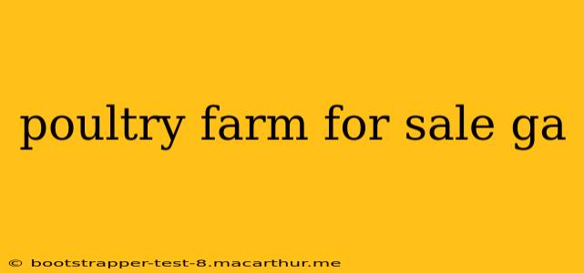 poultry farm for sale ga