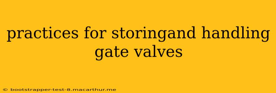 practices for storingand handling gate valves