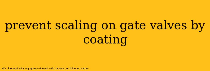 prevent scaling on gate valves by coating