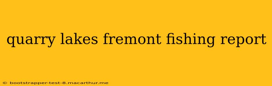 quarry lakes fremont fishing report