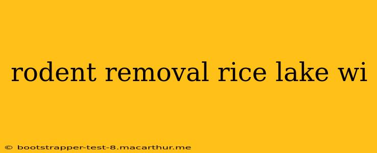 rodent removal rice lake wi