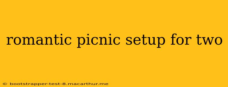 romantic picnic setup for two