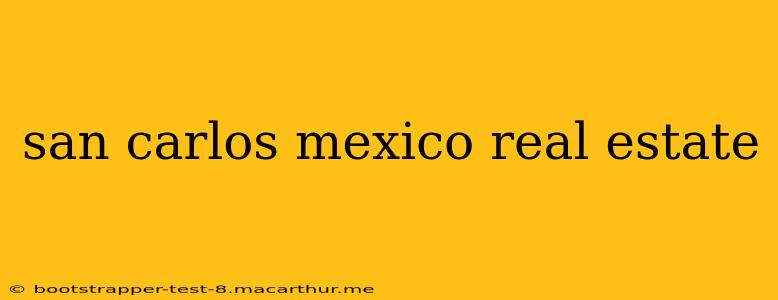 san carlos mexico real estate