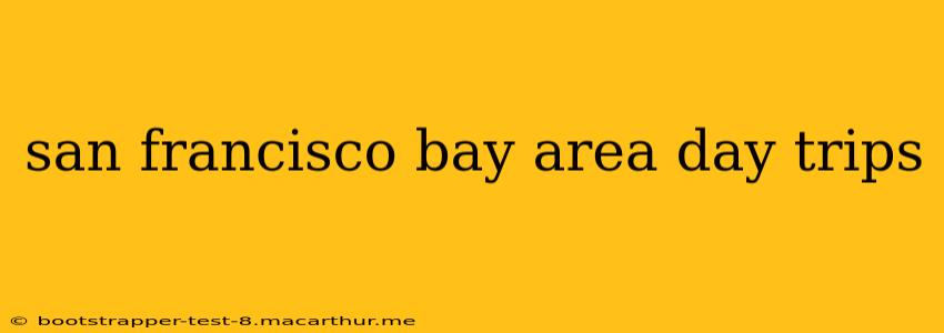 san francisco bay area day trips