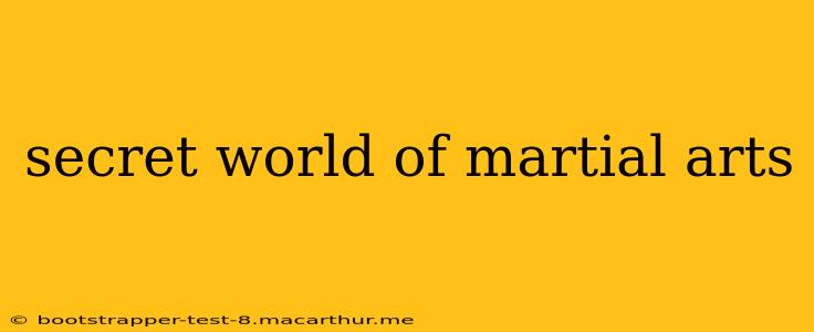 secret world of martial arts