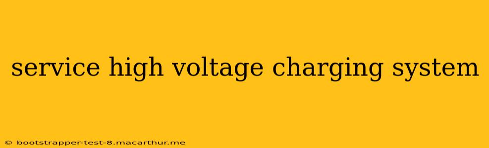 service high voltage charging system