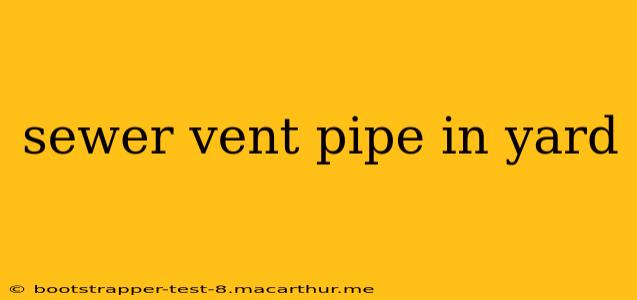 sewer vent pipe in yard