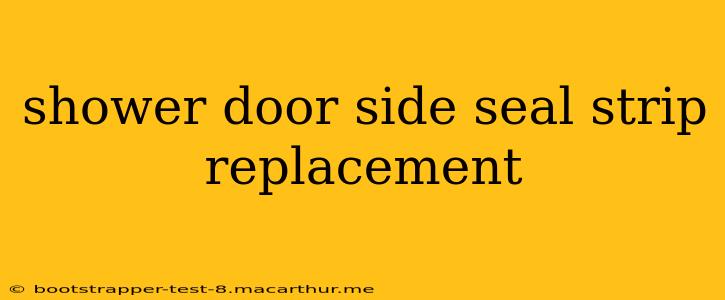 shower door side seal strip replacement