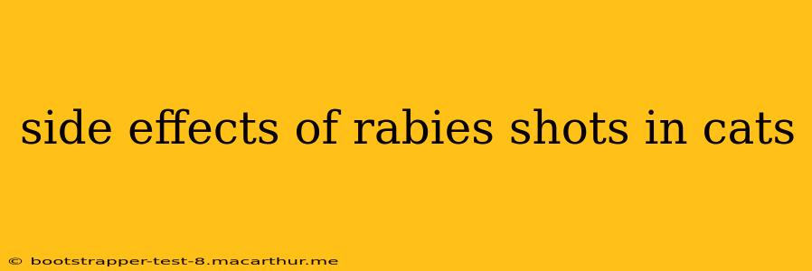 side effects of rabies shots in cats