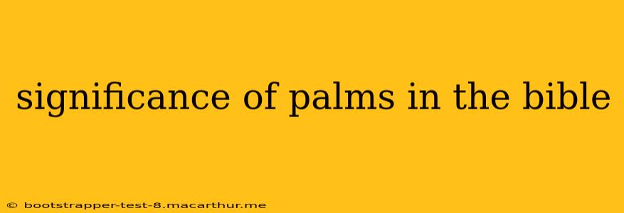 significance of palms in the bible