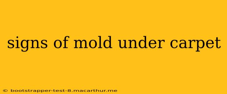 signs of mold under carpet