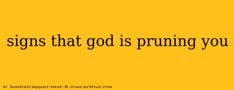 signs that god is pruning you