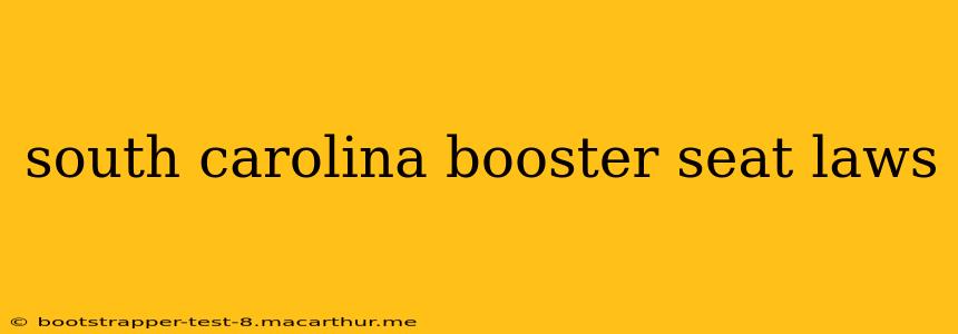 south carolina booster seat laws