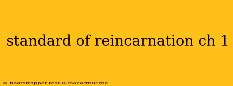 standard of reincarnation ch 1