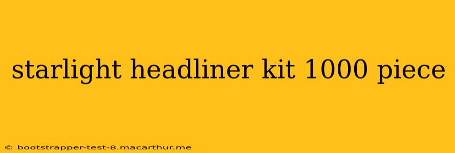starlight headliner kit 1000 piece