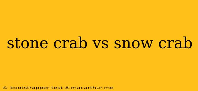 stone crab vs snow crab