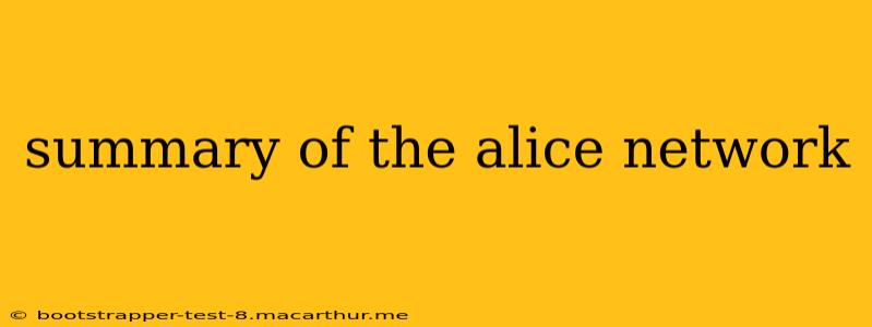summary of the alice network