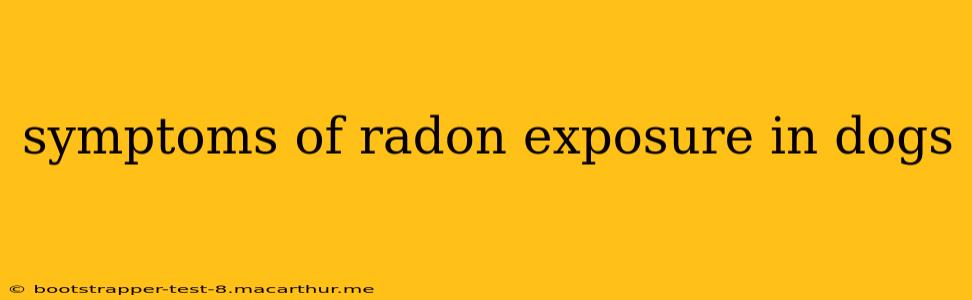 symptoms of radon exposure in dogs