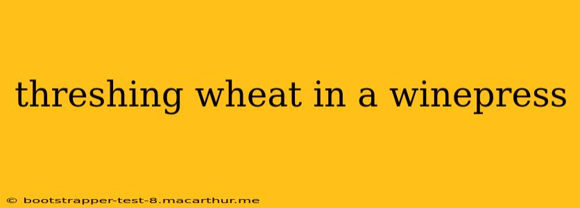 threshing wheat in a winepress