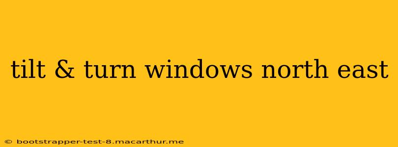 tilt & turn windows north east