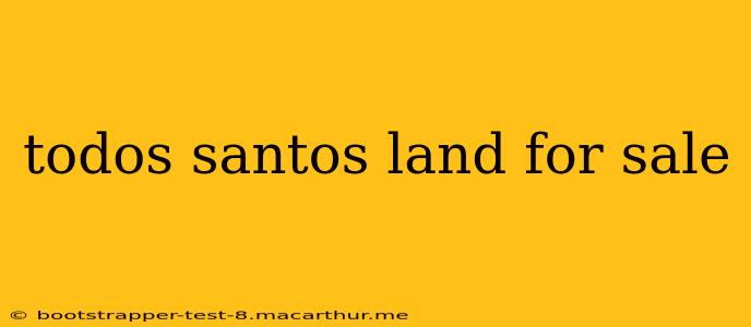 todos santos land for sale