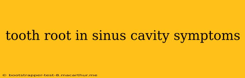 tooth root in sinus cavity symptoms
