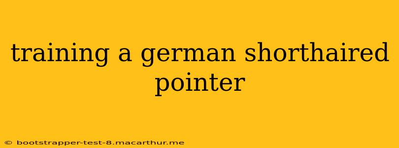 training a german shorthaired pointer
