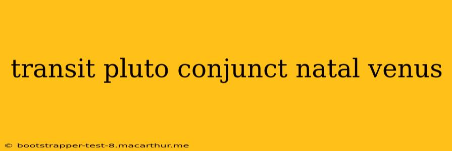 transit pluto conjunct natal venus