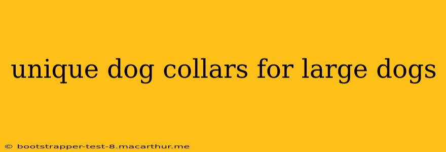 unique dog collars for large dogs