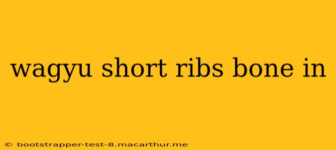 wagyu short ribs bone in