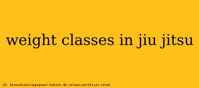 weight classes in jiu jitsu
