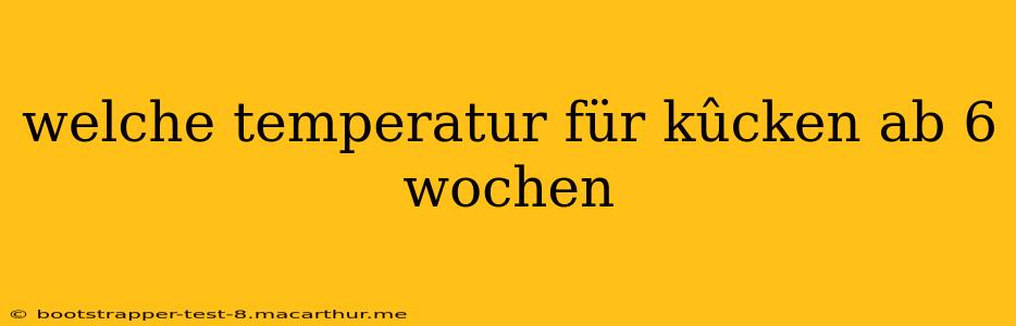welche temperatur für kûcken ab 6 wochen