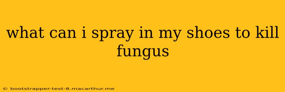 what can i spray in my shoes to kill fungus