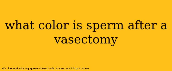 what color is sperm after a vasectomy