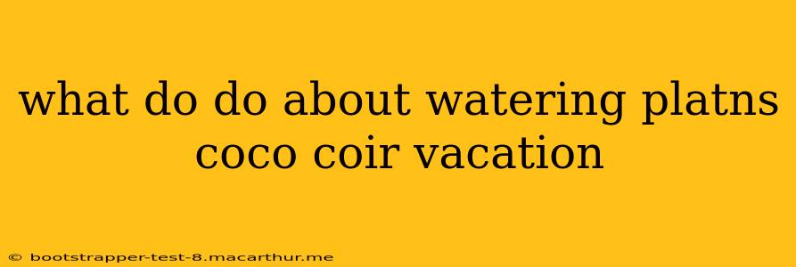 what do do about watering platns coco coir vacation