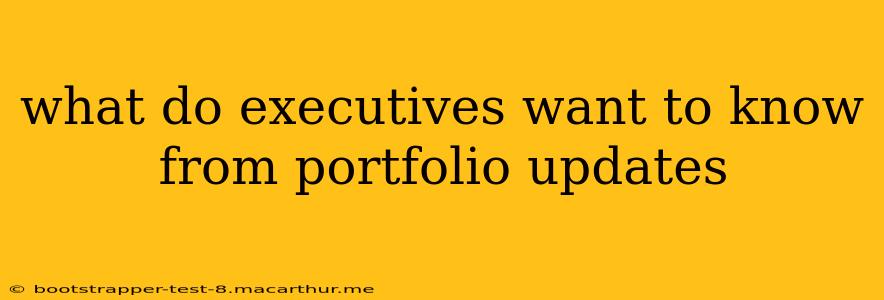 what do executives want to know from portfolio updates