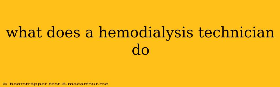 what does a hemodialysis technician do