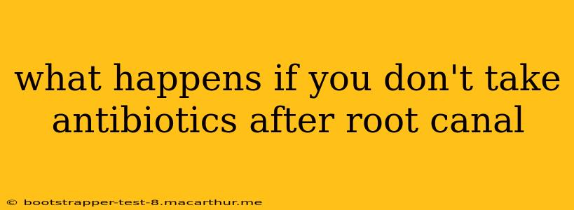 what happens if you don't take antibiotics after root canal