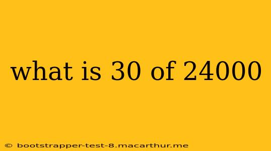 what is 30 of 24000